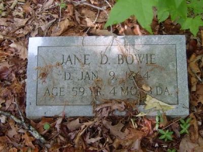 Jane D. Bowie Tombstone<br>Old Bowie Cemetery. Click for full size. Jane D. Bowie Tombstone<br>Old Bowie Cemetery image. Click for full size.