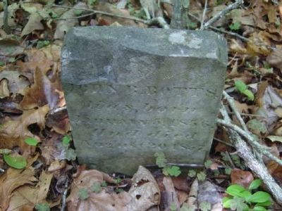 John R Botts Tombstone<br>Old Bowie Cemetery. Click for full size. John R Botts Tombstone<br>Old Bowie Cemetery image. Click for full size.