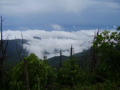 The Top of the Smokies image. Click for full size.