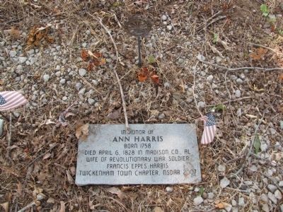 In honor of Ann Harris. Click for full size. In honor of Ann Harris image. Click for full size.