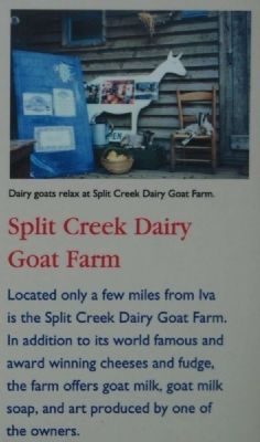 Iva Marker<br>Split Creek Dairy Goat Farm image. Click for full size.