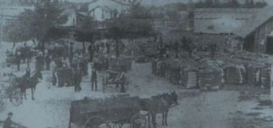 Iva Marker<br>Starr Gin c. 1900 image. Click for full size.