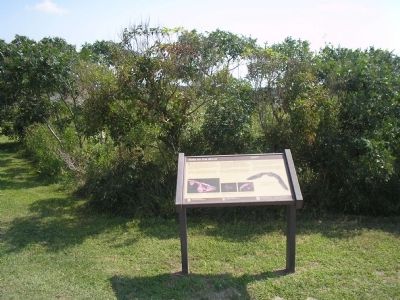 Marker in Cape May Point State Park image. Click for full size.