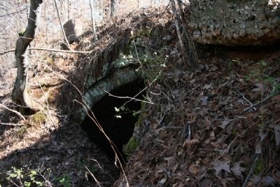 Opening to an abandoned Coke Beehive image. Click for full size.