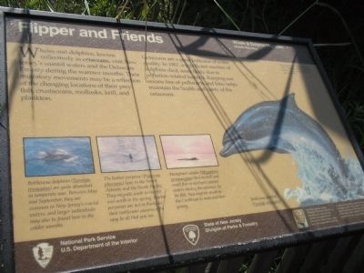 Flipper and Friends Marker. Click for full size. Flipper and Friends Marker image. Click for full size.