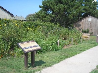 Marker in Cape May Point State Park. Click for full size. Marker in Cape May Point State Park image. Click for full size.