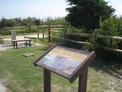 Marker in Cape May Point State Park. Click for full size. Marker in Cape May Point State Park image. Click for full size.