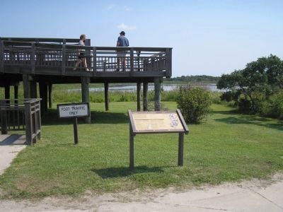 Marker in Cape May Point State Park. Click for full size. Marker in Cape May Point State Park image. Click for full size.