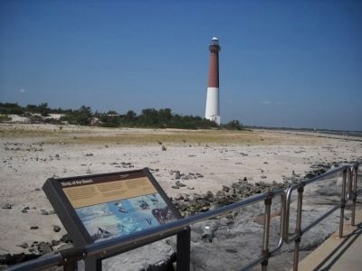Marker in Barnegat Lighthouse State Park. Click for full size. Marker in Barnegat Lighthouse State Park image. Click for full size.