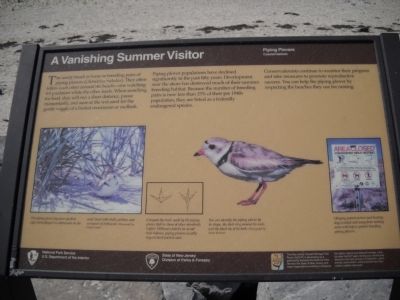 A Vanishing Summer Visitor Marker. Click for full size. A Vanishing Summer Visitor Marker image. Click for full size.