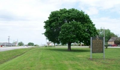 Nevada Marker. Click for full size. Nevada Marker image. Click for full size.