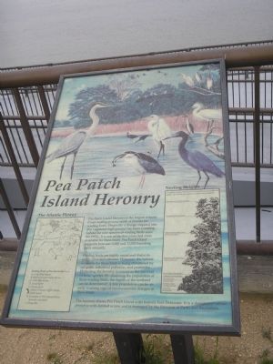 Pea Patch Island Heronry Marker image. Click for full size.