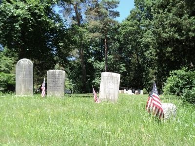 Graves in the Martinus Hogenkamp Cemetery image. Click for full size.