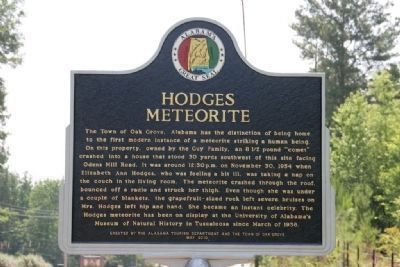 Hodges Meteorite Marker image. Click for full size.
