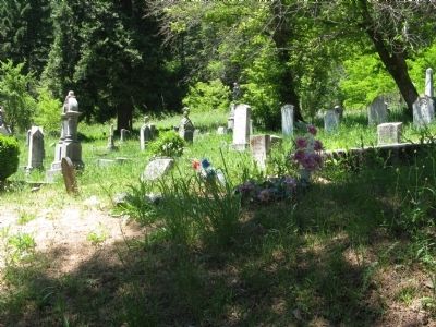 Downieville Cemetery image. Click for full size.