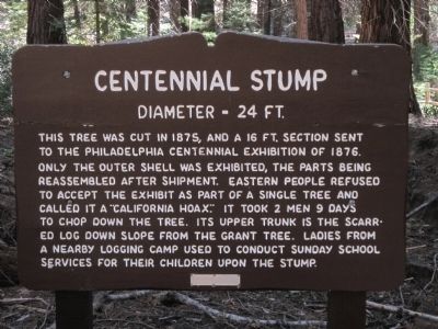 The Centennial Stump Marker image. Click for full size.