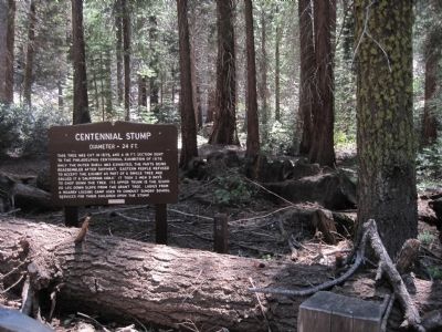 The Centennial Stump Marker image. Click for full size.