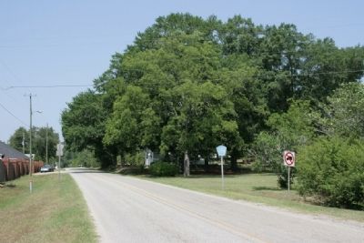 Odens Mill Road, right side of the road was the site of the Hodges home. image. Click for full size.