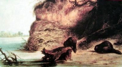 Painting of Beaver on Cow Island Marker. Click for full size. Painting of Beaver on Cow Island Marker image. Click for full size.