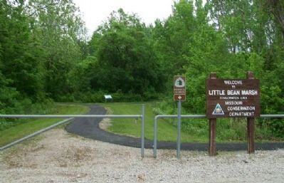Wetland Habitats of the Past Marker. Click for full size. Wetland Habitats of the Past Marker image. Click for full size.