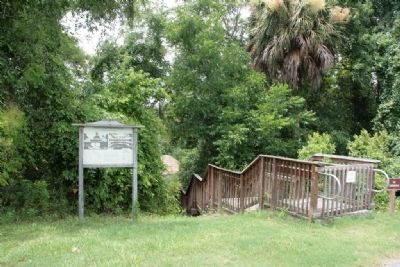 White Sulphur Springs Marker. Click for full size. White Sulphur Springs Marker image. Click for full size.