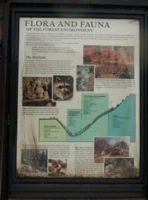 Flora and Fauna of the Forest Environment. Click for full size. Flora and Fauna of the Forest Environment image. Click for full size.