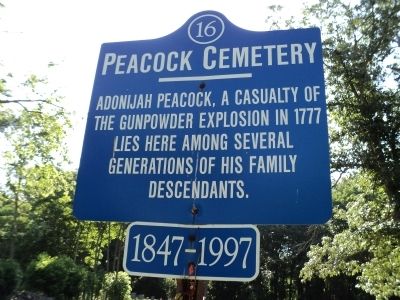 Peacock Cemetery Marker image. Click for full size.