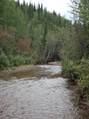 Bonaza Creek, upstream from the discovery site. image. Click for full size.