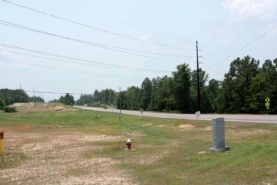 Robert M. Bell Parkway Marker, looking south along the Parkway (State Highway 19, 118) image. Click for full size.