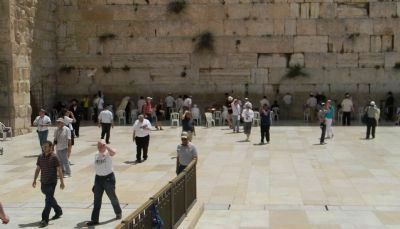 Praying at the Western Wall, men's section image. Click for full size.