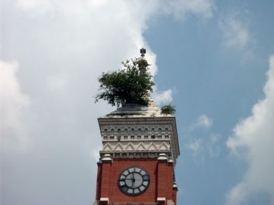 Tree Growing Out of Courthouse Roof . . ! image. Click for full size.