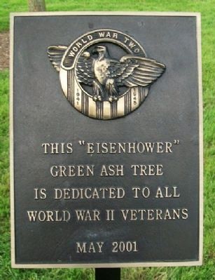 "Eisenhower" Green Ash Tree Marker image. Click for full size.