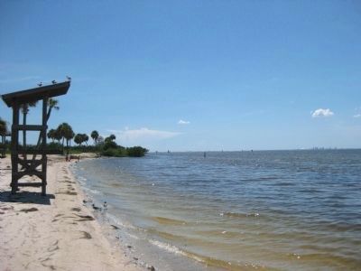 Shores of Tampa Bay at E. G. Simmons Park image. Click for full size.