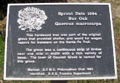 Bur Oak Marker image. Click for full size.