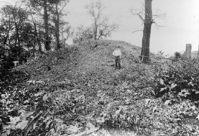 McKees Rocks Mound before excavation image. Click for full size.