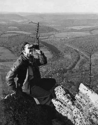 Rachel Carson, in the Hawk Mountain Sanctuary, Lehigh County, PA image. Click for full size.