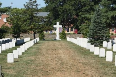 Argonne Cross amid some of 2100 reinterred in Section 18 image. Click for full size.