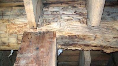 Hand Hewn Beams in Hays House Basement. Click for full size. Hand Hewn Beams in Hays House Basement image. Click for full size.