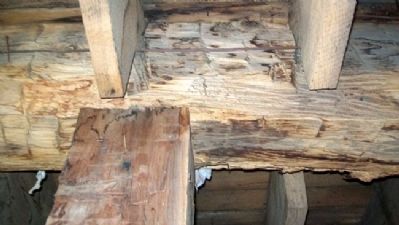 Hand Hewn Beams in Hays House Basement image. Click for full size.