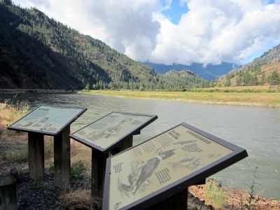 The Clark Fork (facing south) image. Click for full size.