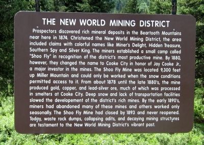 The New World Mining District Marker image. Click for full size.