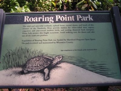 Roaring Point Park Marker image. Click for full size.