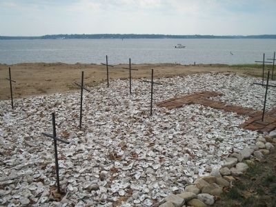 Jamestown Burial Site. Click for full size. Jamestown Burial Site image. Click for full size.