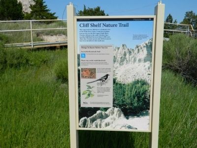 Cliff Shelf Nature Trail Marker image. Click for full size.
