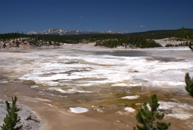"Porcelain Basin" at Norris Geyser Basin. Click for full size. "Porcelain Basin" at Norris Geyser Basin image. Click for full size.
