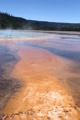 Grand Prismatic Spring runoff. Click for full size. Grand Prismatic Spring runoff image. Click for full size.