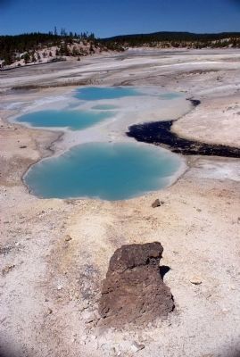 Norris Geyser Basin. Click for full size. Norris Geyser Basin image. Click for full size.