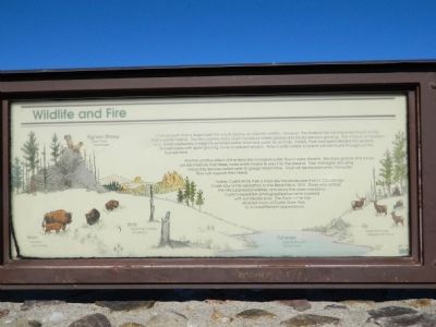 Wildlife and Fire Marker image. Click for full size.