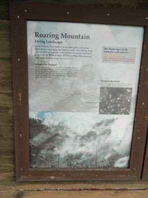 Roaring Mountain Marker. Click for full size. Roaring Mountain Marker image. Click for full size.