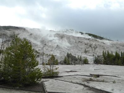 Fumaroles on Roaring Mountain image. Click for full size.